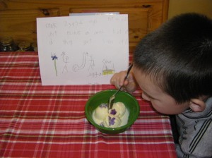 French Vanilla Ice Cream with Candied Violets and pictorial instructions, of course.